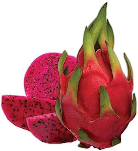 Red Dragon -- Thailand (Weight 1 kg)