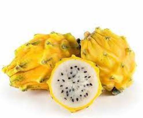 Yellow Dragon - Colombia (Weight 1 kg)