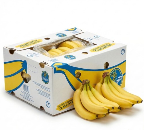Chiquita Bananas – Ecuadorian – 1 carton – Weight: approx. 3 kg