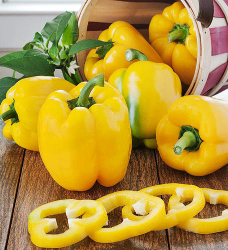 Local yellow sweet pepper (Weight: 1 kg