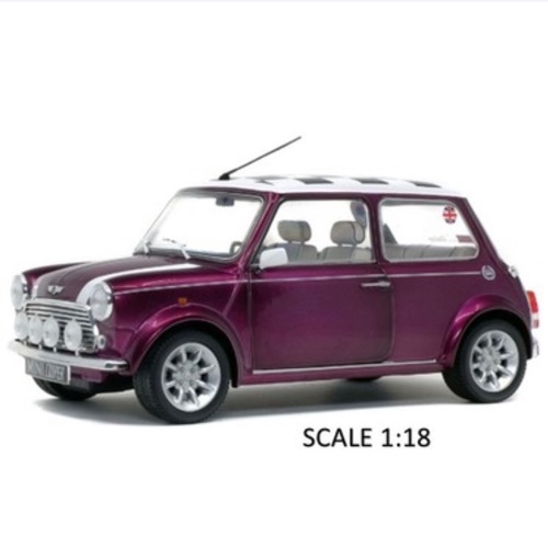 ميني بنفسجي 1:18