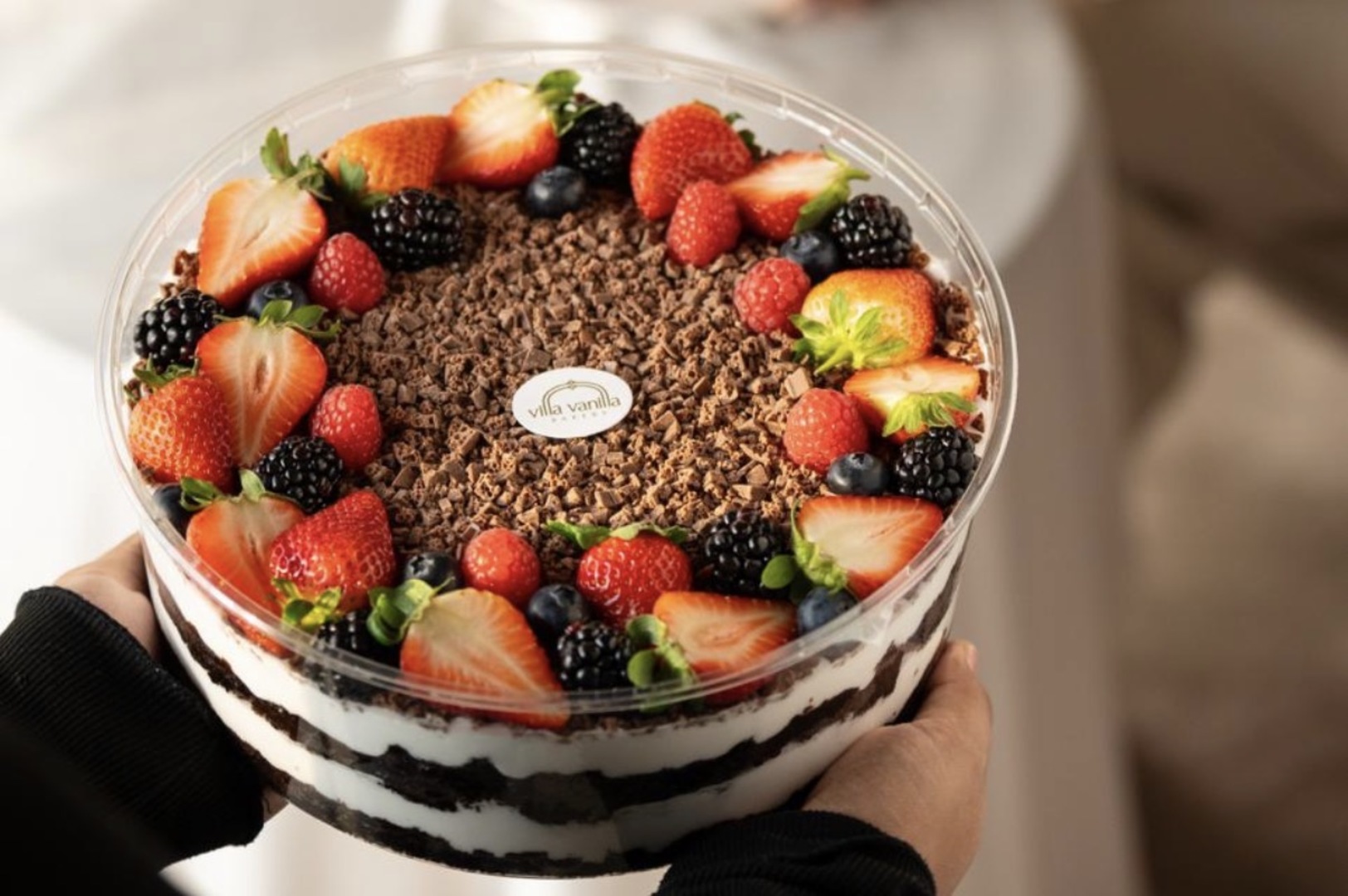 فيلا فانيلا