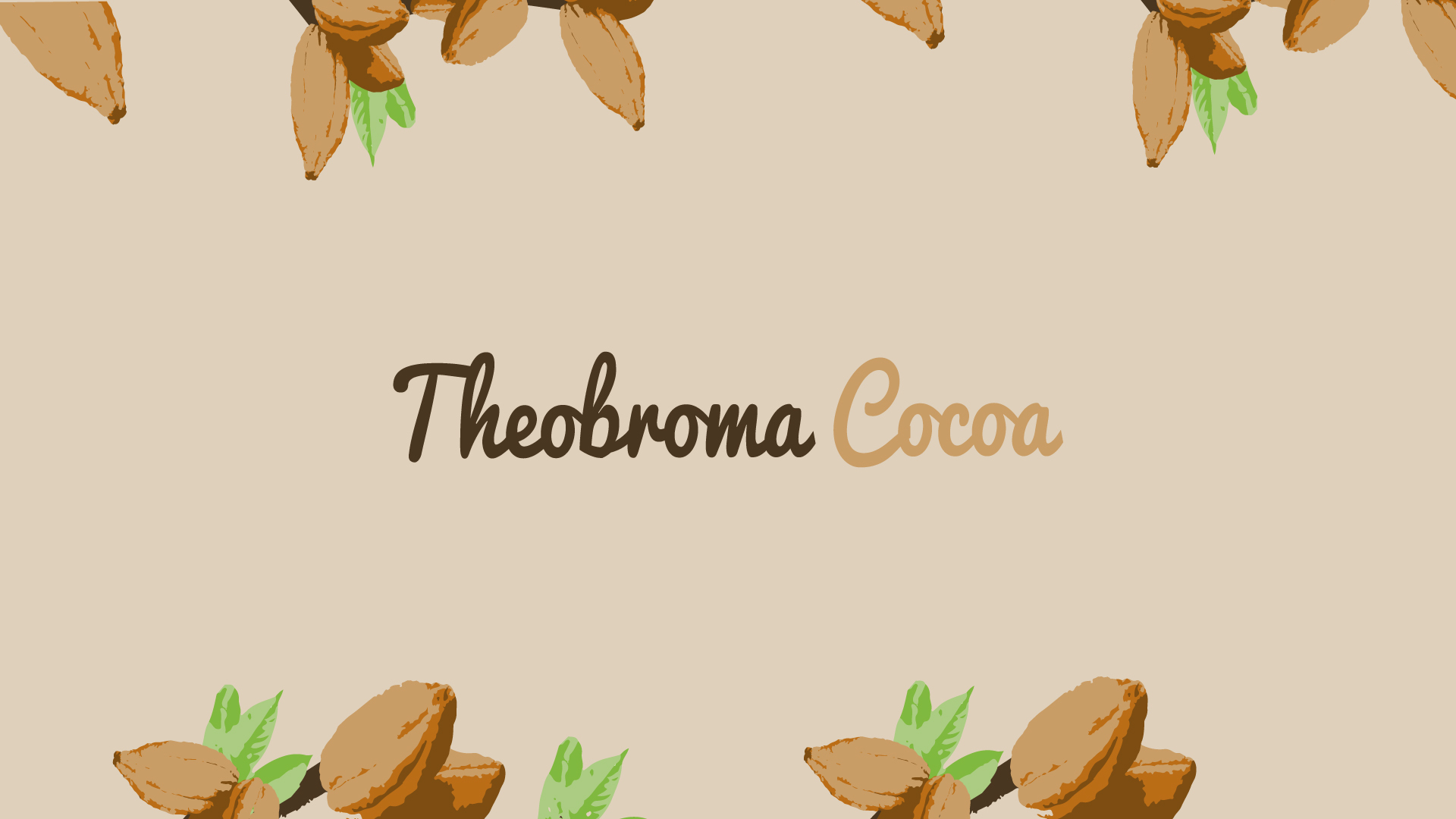 Theobroma Cocoa