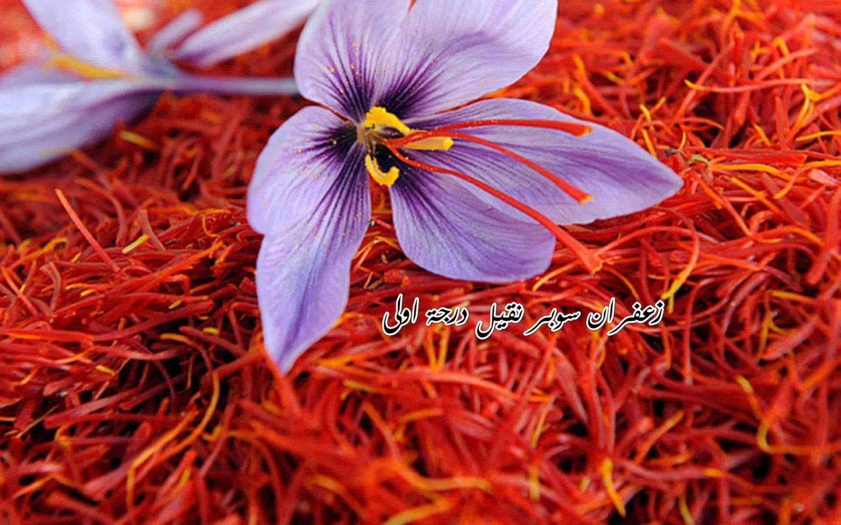 Atyab AlMaali