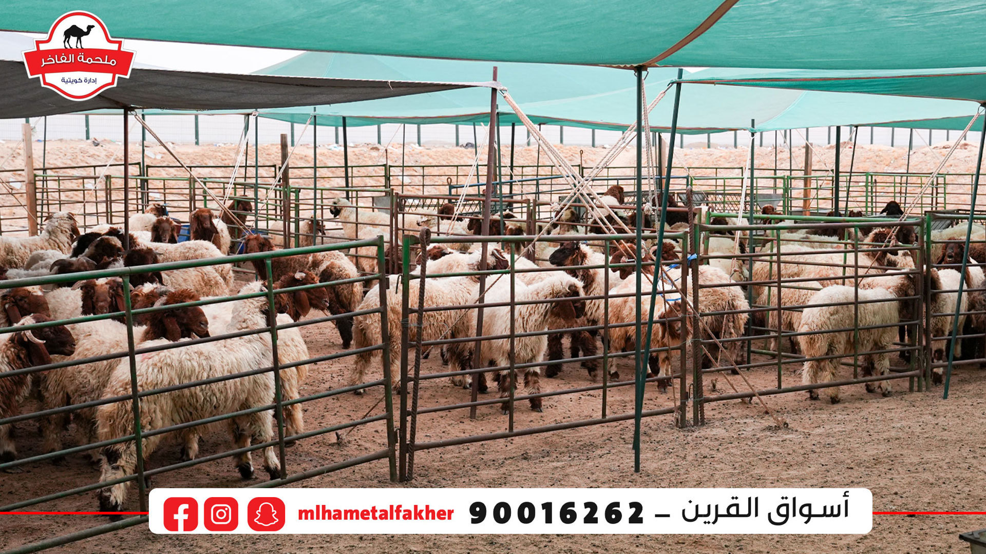 شركة الفاخر