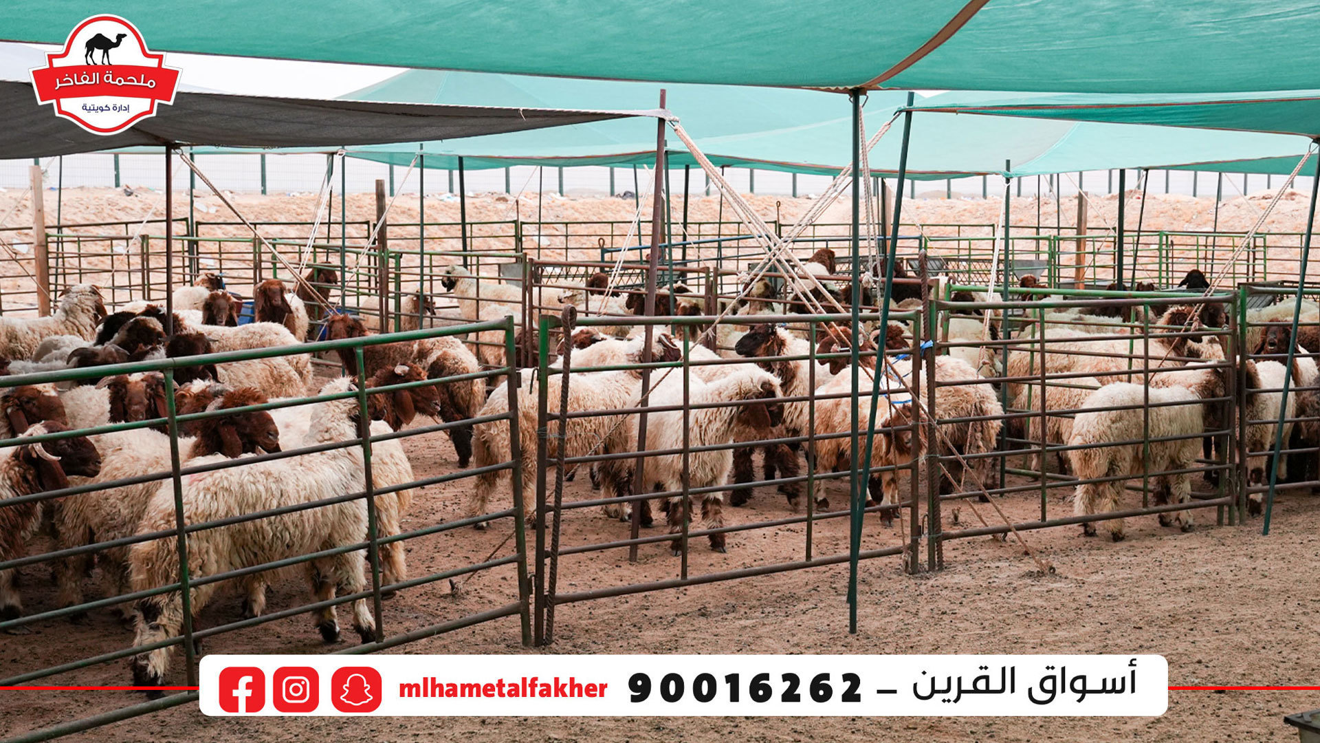 شركة الفاخر