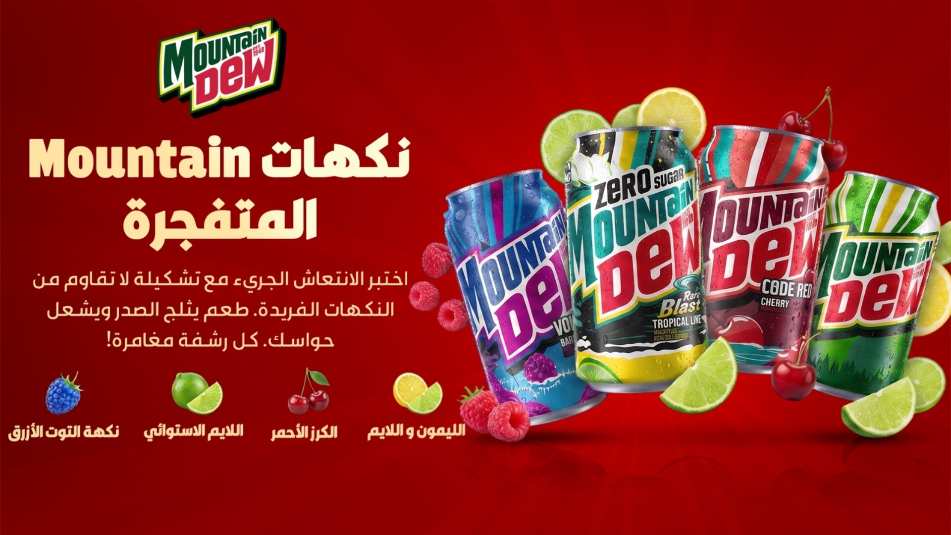بقالة هابي باسكت