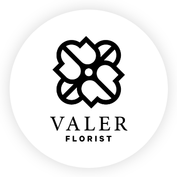 Valer