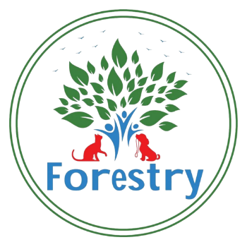 Forestry 